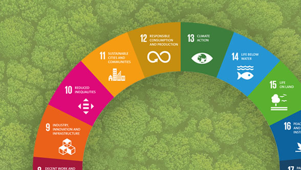 Pleno compromiso con los Objetivos de Desarrollo Sostenible de la ONU 